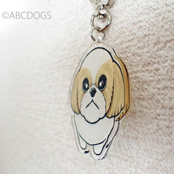 Begging Dog Charm Shih Tzu 淺棕色白色 第3張的照片