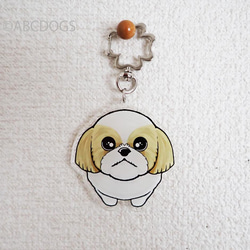 Begging Dog Charm Shih Tzu 淺棕色白色 第1張的照片