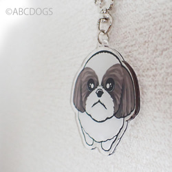 Begging Dog Charm Shih Tzu 灰白色 第2張的照片