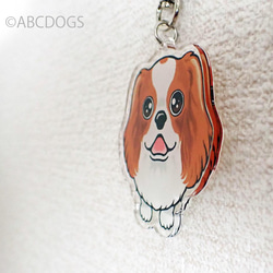 Begging Dog Charm 騎士 第3張的照片