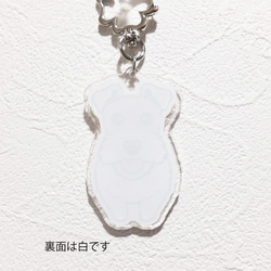 Begging Dog Charm 騎士 第5張的照片