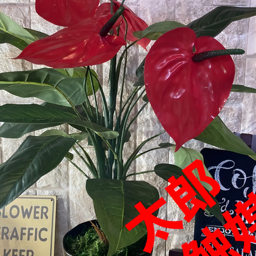 光触媒人工観葉植物ウォールグリーンアンスリューム高さ53センチ