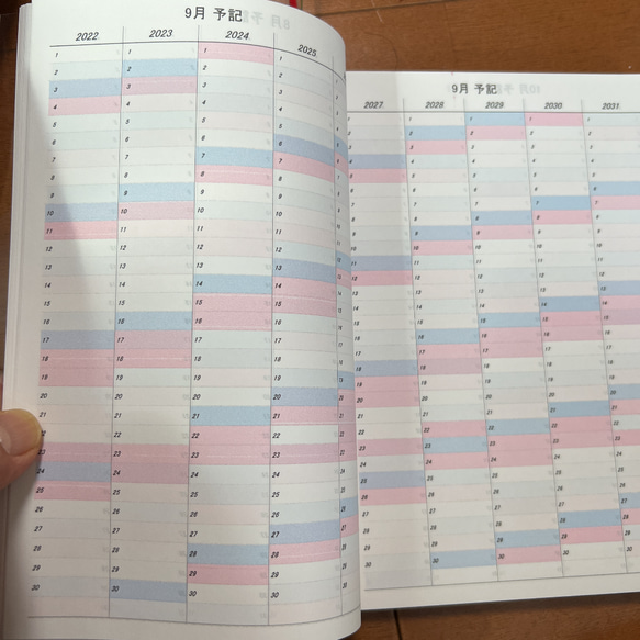 2025年開始 10年日記 A5版 1ページ2日 行数・開始年・開始月変更可能 4枚目の画像