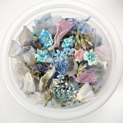HANABIRA　NO.104　blue mix　花弁　花びら　ブルー　青　ミックス　ドライフラワー 2枚目の画像