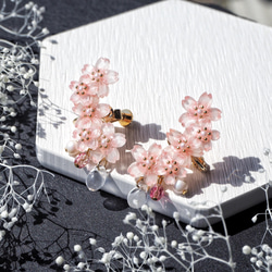 【期間限定】選べる‼︎ 桜のアクセサリー2点セット 4枚目の画像