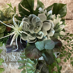光触媒　人工観葉植物　ウォールグリーン　フェイク　アレンジ40554 8枚目の画像