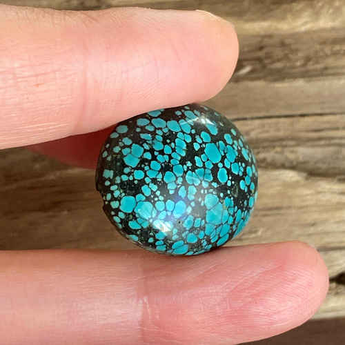 スパイダーウェブターコイズ ブラックウェブ Turquoise：ナチュラル 