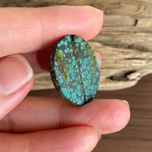 スパイダーウェブターコイズ ブラックウェブ Turquoise スパイダーウェブターコイズ ブラックウェブ Turquoise