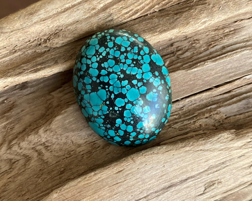 スパイダーウェブターコイズ ブラックウェブ Turquoise スパイダーウェブターコイズ ブラックウェブ Turquoise