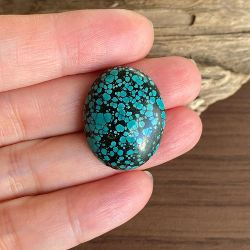 スパイダーウェブターコイズ ブラックウェブ Turquoise
