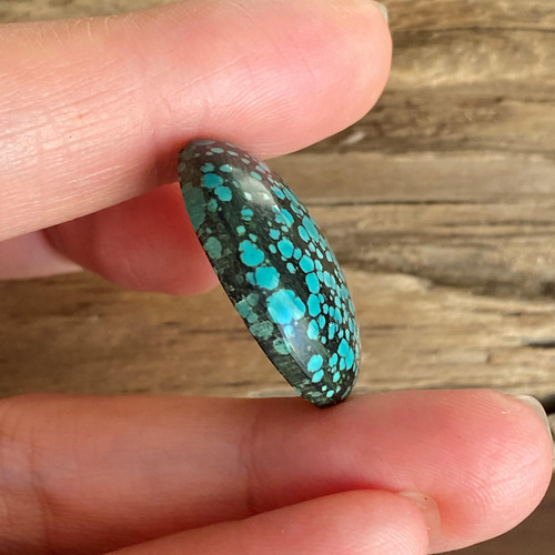 スパイダーウェブターコイズ ブラックウェブ Turquoise
