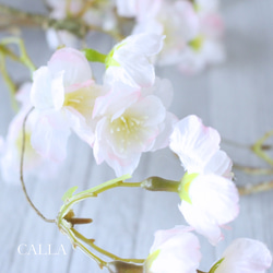 《Renewal》しっとりと佇まいの美しい♡侘桜リース〜Sakura&Magnolia〜3Lsize 8枚目の画像