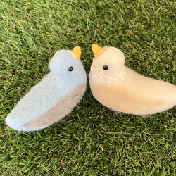 羊毛とアクレーヌのラブラブ新婚の小鳥さん❤️ 4枚目の画像