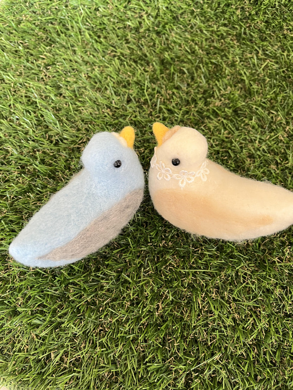 羊毛とアクレーヌのラブラブ新婚の小鳥さん❤️ 4枚目の画像