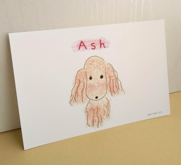 圖畫書《Ash》中的可愛動物插圖明信片 / 5 件套 Naturaco 第2張的照片
