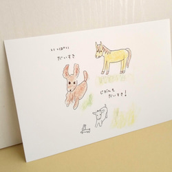 圖畫書《Ash》中的可愛動物插圖明信片 / 5 件套 Naturaco 第4張的照片