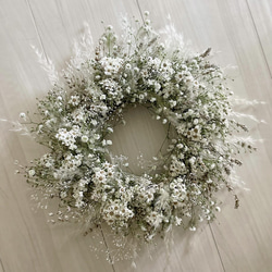 ＊Natural＊ルナリアのホワイトリース＊ドライフラワーリース flowers wreath ルナリア ホワイト リース ドライフラワー ナチュラル