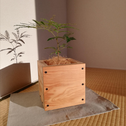 キューブ型の木製プランターカバー 観葉植物 ナチュラル ヴィンテージ