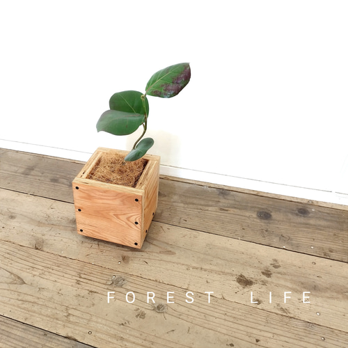 キューブ型の木製プランターカバー 観葉植物 ナチュラル ヴィンテージ