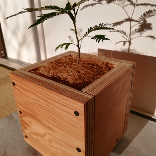 キューブ型の木製プランターカバー 観葉植物 ナチュラル ヴィンテージ