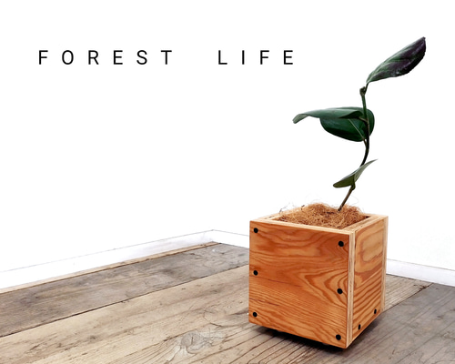 bbadb299b121816a663838f695f68f