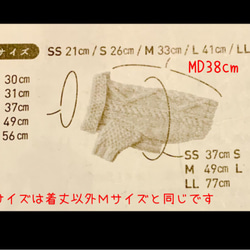  第5張的照片