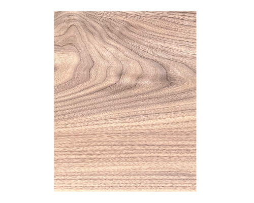 a3e23f6c6158ef3da987620aa28505