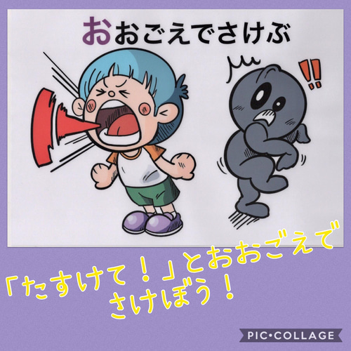 いかのおすし」 カードパネル A4サイズ 6枚 雑貨・その他 さみの