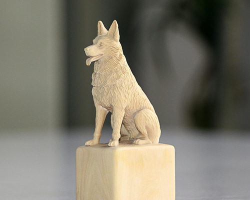 4db57e38b93eaa7539e73438af9368