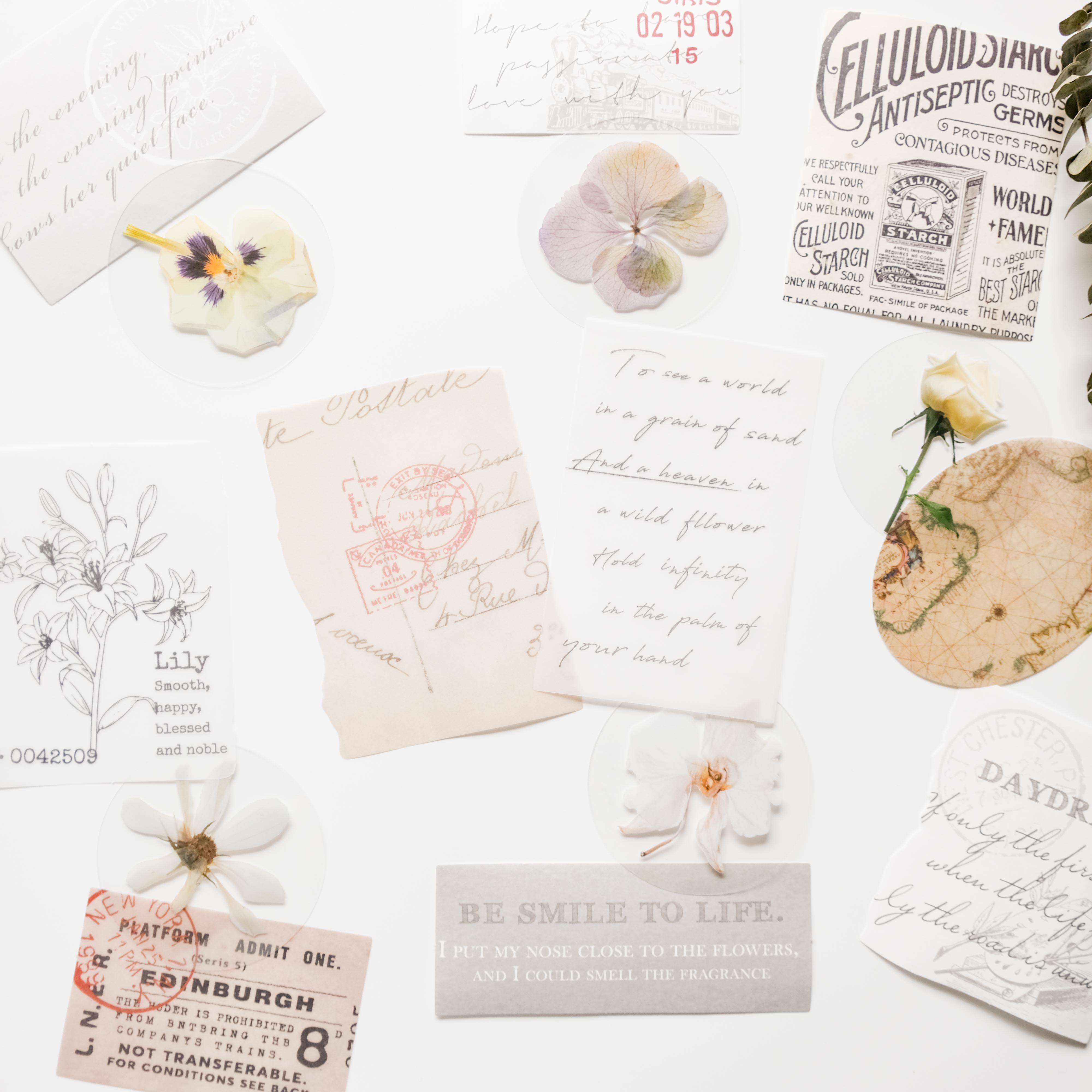 コラージュ素材セット 楽天市場】【ノート付き！コラージュスタートセット