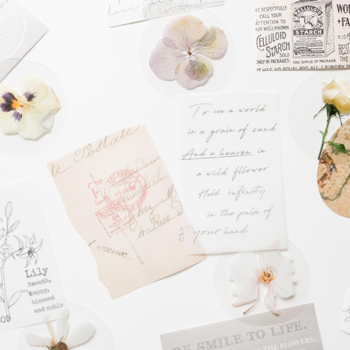 コラージュ素材セット 30枚 white rose [AZ091] シール・ステッカー