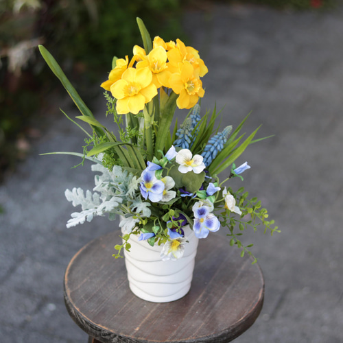 水彩画原画水仙とパンジー春のガーデン 水彩画原画水仙とパンジー春のガーデン 水彩画原画水仙と