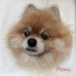 羊毛フェルト　にこにこリラックスポメラニアン 羊毛フェルト にこにこポメラニアン 送料無料 クリーム 羊毛