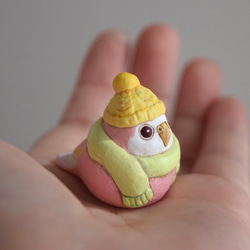 冬季小鳥 - 僅限訂購頁面 第6張的照片