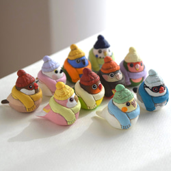 冬季小鳥 - 僅限訂購頁面 第5張的照片