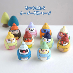 冬季小鳥 - 僅限訂購頁面 第1張的照片