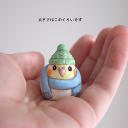 冬季小鳥 - 僅限訂購頁面 第3張的照片