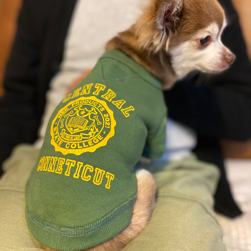 犬服 カレッジトレーナー グリーン ペット服・アクセサリー ネック