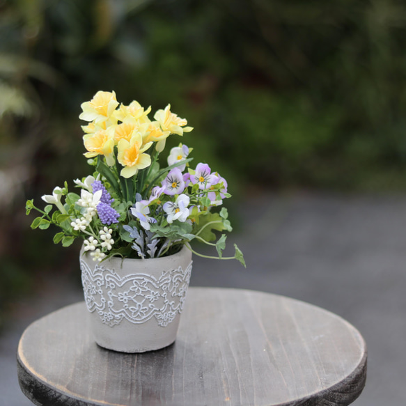 花 八重咲きハイビスカス 