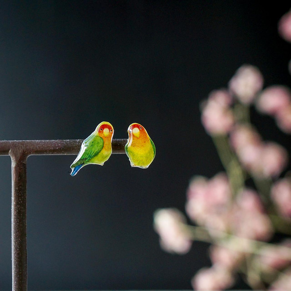 Lovebird Pukupuku 一對手持鳥迷你鈦耳環 第1張的照片