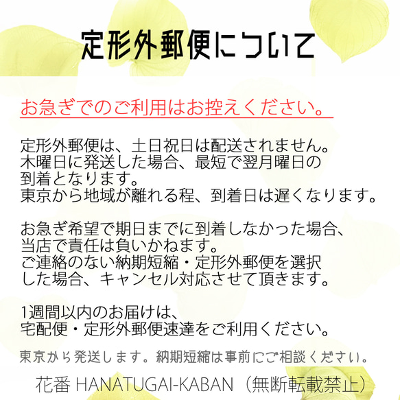 4日で発送＊大きさ選べるナチュラルブーケ　森のお花屋さん【M・Lサイズ Sサイズ2束】 5枚目の画像