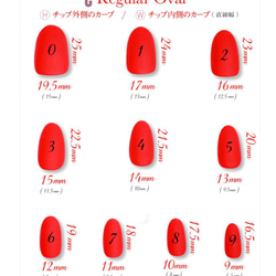 計測用ネイルチップ 4枚目の画像