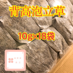 背高泡高草　　10g×18袋  セイタカアワダチソウ 1枚目の画像