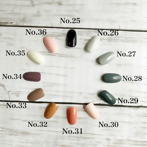 ネイルチップ 〜単色 No.21 グラデーション〜 ネイルチップ