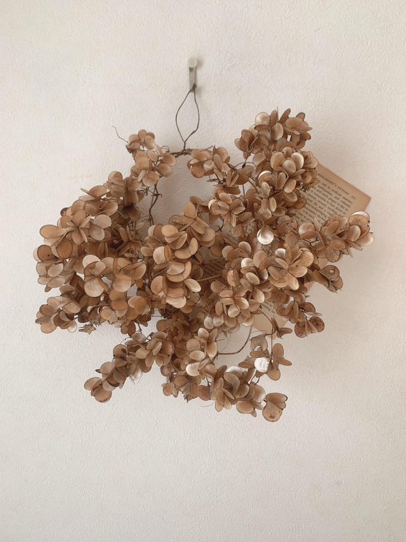 ドライフラワー 山芋の花殻のリース リース 葉つみ 通販 13215291