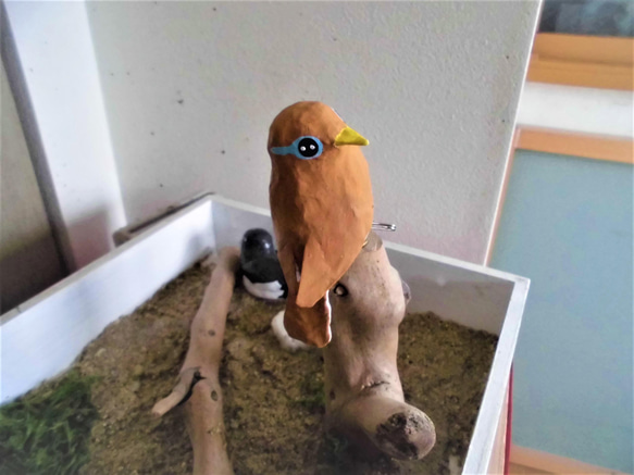 張り子の小鳥　見返りガビチョウ（1羽） 1枚目の画像