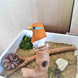 張り子の小鳥　見返りガビチョウ（1羽） 3枚目の画像