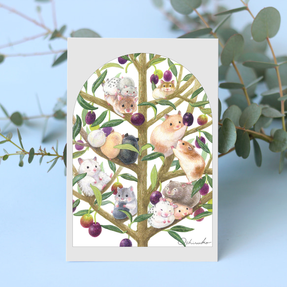 ポストカード2枚Set《すごしたい時間》｜オリーブの樹のハムスターたち 1枚目の画像