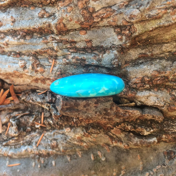 【SALE価格】キングマン 御守りターコイズ 自研磨品 SALE価格