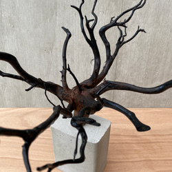 【 コンクリート盆栽 】 流木 木 オブジェ ディスプレイ 高級感 スタイリッシュ インテリア アート アクセサリー 2枚目の画像